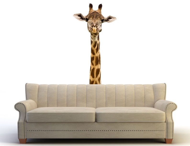 Giraffe Wall Sticker Nursery Decor, Wildlife Giraffe Wall Decal