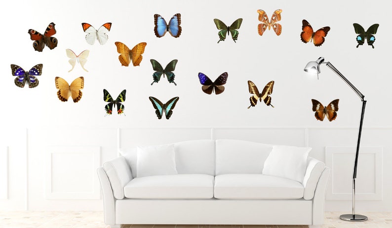 Download Img061 Butterfly Wall Decal Removable Vinyl Colorful 18 Butterflies Set Wall Sticker Butterfly Decor 3d Butterfly Wall Art Room Design Home Decor Home Living Kromasol Com