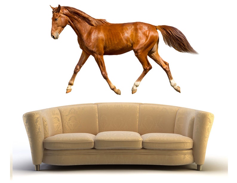 Brown Horse Wall Sticker Farm Nursery Decor, Horse Wall Decal Removable Vinyl Animal Mural Room
