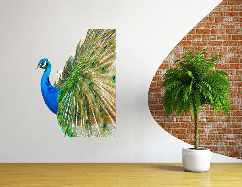 Colorful Peacock Wall Sticker Nursery Decor Wildlife Peacock | Etsy