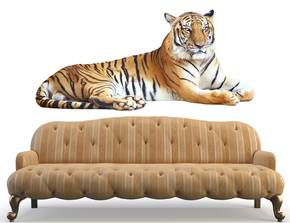 Tiger Wall Sticker Nursery Decor Tiger Wall Decal Removable Etsy