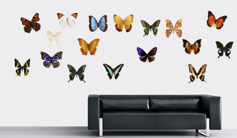 Download Img061 Butterfly Wall Decal Removable Vinyl Colorful 18 Butterflies Set Wall Sticker Butterfly Decor 3d Butterfly Wall Art Room Design Home Decor Home Living Kromasol Com