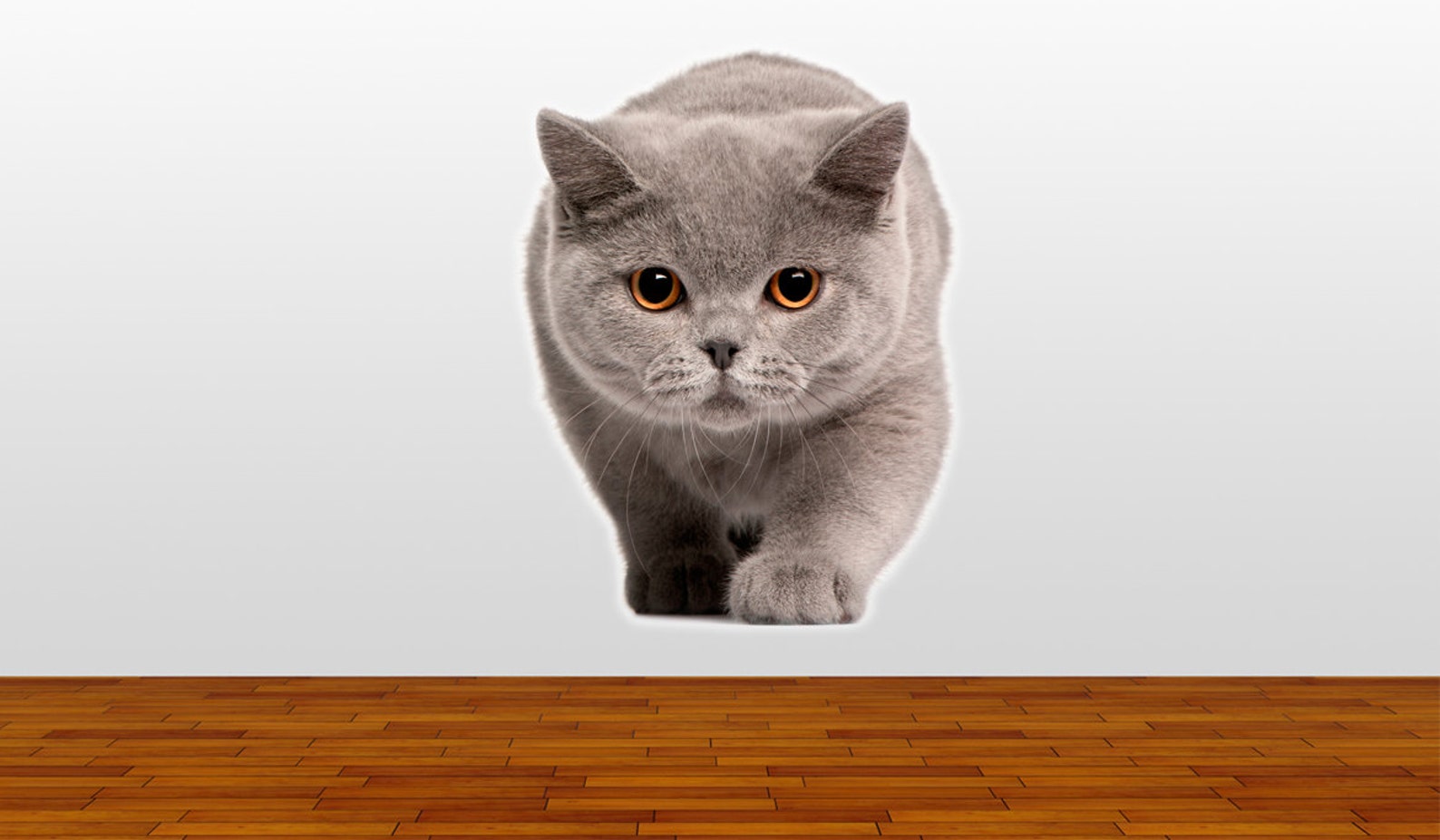 Wandaufkleber Nette Katze - 45x40cm Vinyl Sticker Für Küche & Wohnzimmer