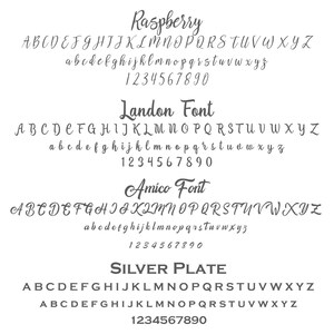 K&ouml;nnte beinhalten: Eine Grafik, die verschiedene Schriftstile f&uuml;r die W&ouml;rter "Raspberry", "Landon Font", "Amico Font" und "SILVER PLATE" zeigt. Die Schriften werden in Gro&szlig;- und Kleinbuchstaben sowie in Zahlen dargestellt.