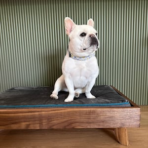 Mid-century Modern Wood Dog Bed