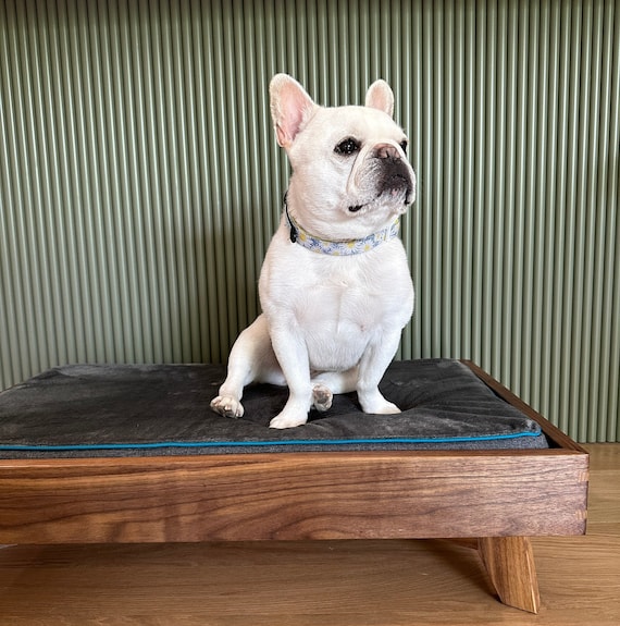 Mid century pet bed 2025