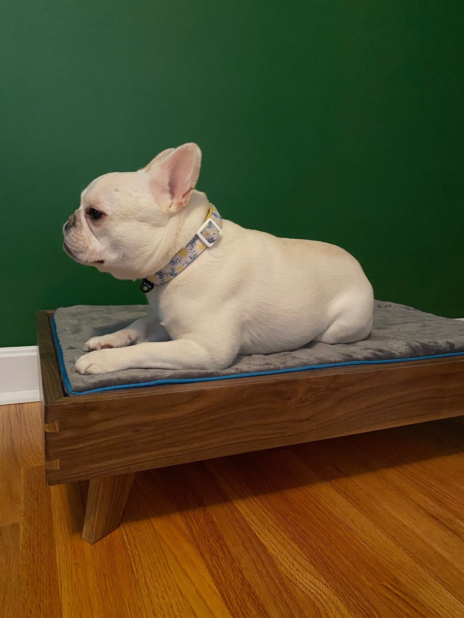 Midcentury Modern Wood Dog Bed Etsy UK