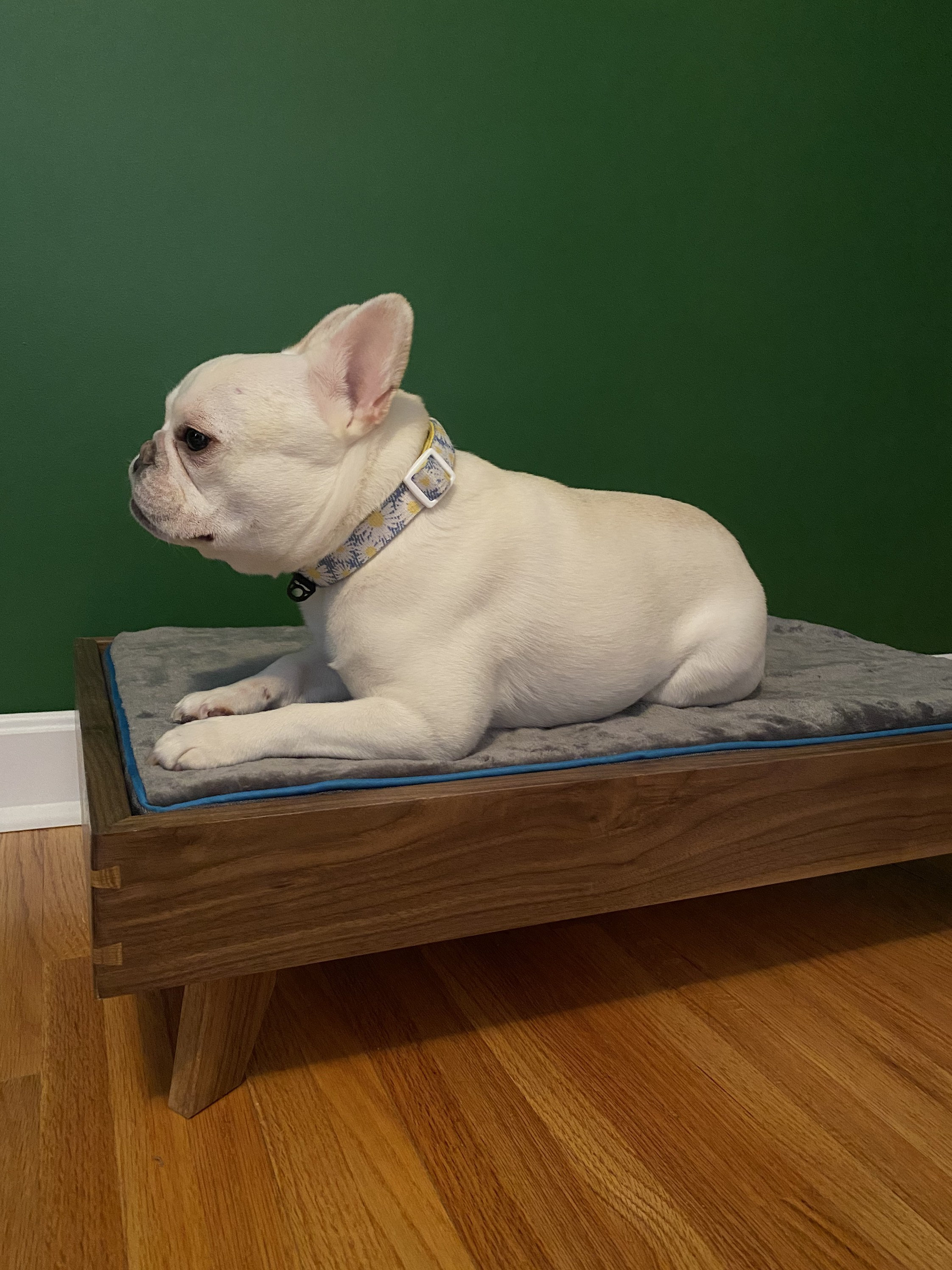 Midcentury Modern Wood Dog Bed Etsy UK