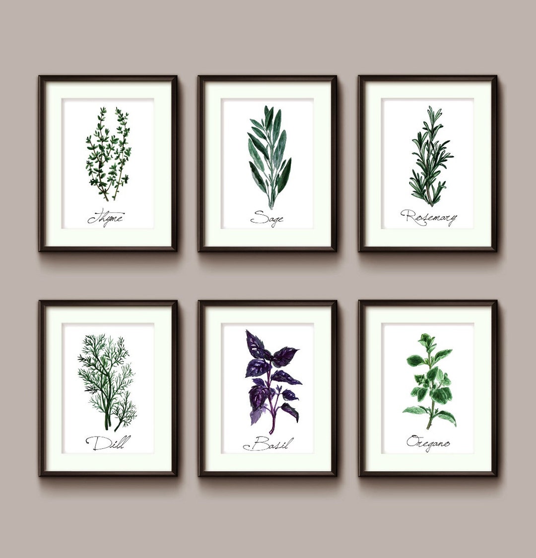 Kitchen Herbs - Set of 6 Prints - Rosemary, Sage, Thyme, Oregano, Dill ...