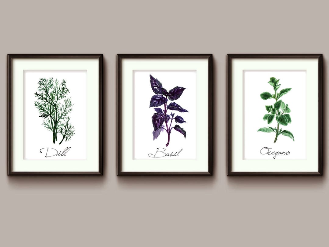 Kitchen Herbs Set of 3 Watercolor Prints Dill, Basil, Oregano. - Etsy