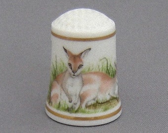 Franklin Thimble - Wallabies (Baby Animals of the World Series)