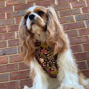 Dog Harness Autumnal Floral Dog Harness Adjustable Dog Harness Personalized Dog Harness Comfort Harness imagem 1