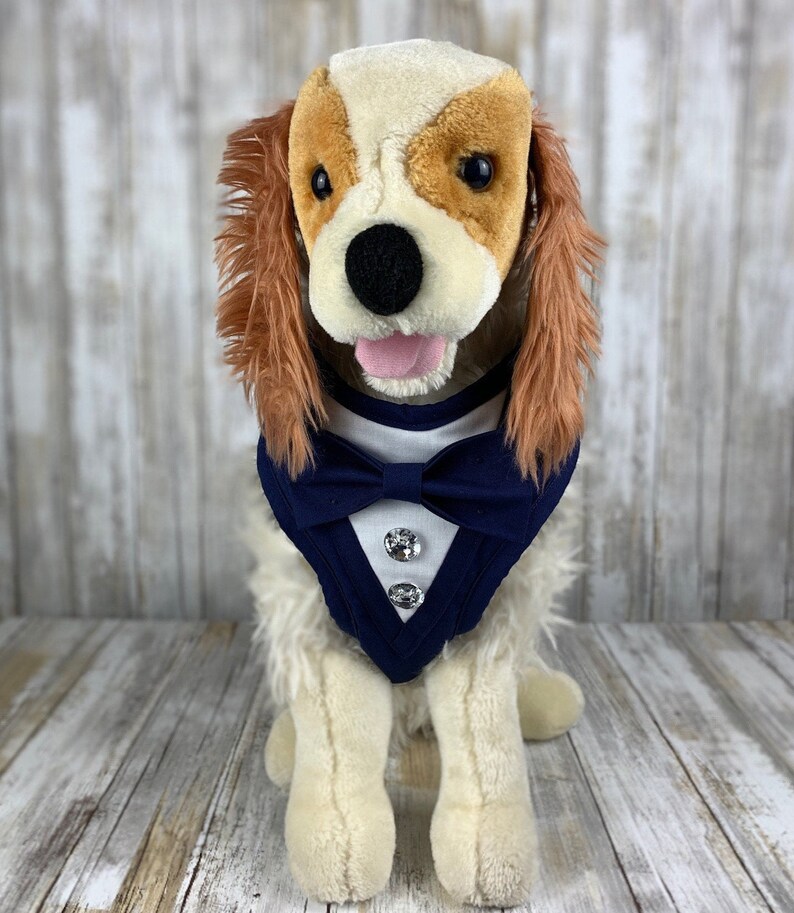 navy blue dog harness