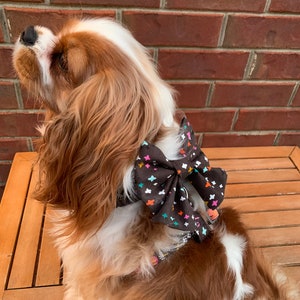 Dog Harness Autumnal Floral Dog Harness Adjustable Dog Harness Personalized Dog Harness Comfort Harness imagem 8