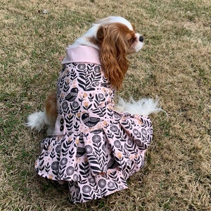 Ruffle Dog Coat - Etsy