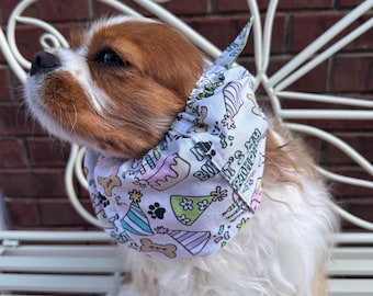 Gorro de cumpleaños para perros: Protector de orejas de algodón con temática de fiesta / Gorros Cavalier