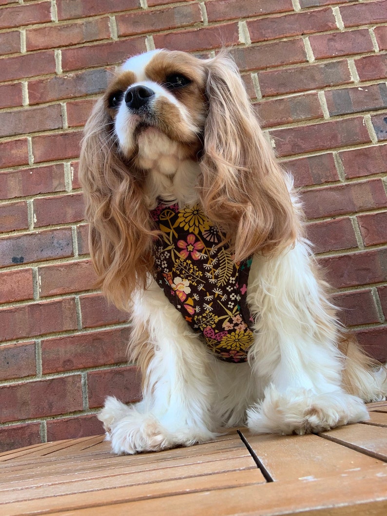 Dog Harness Autumnal Floral Dog Harness Adjustable Dog Harness Personalized Dog Harness Comfort Harness imagem 1