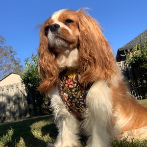 Dog Harness Autumnal Floral Dog Harness Adjustable Dog Harness Personalized Dog Harness Comfort Harness imagem 3