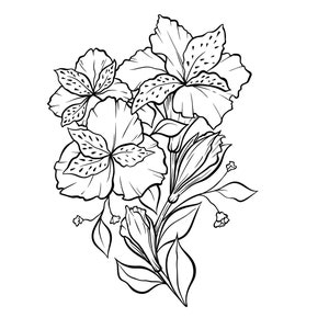 Lily Flower Sketch, Black and White Illustration of Wildflower Vector art design elements. Black and White Floral Line Art Digital Download