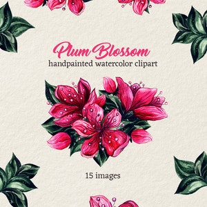 Watercolor Pink floral clipart Flower clipart PNG Wedding watercolor magnolia clipart Commercial use, Plum Blossom.