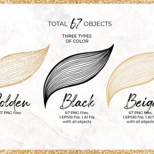Pode incluir: Um conjunto de 67 ilustra&ccedil;&otilde;es digitais de folhas abstratas em tr&ecirc;s cores: dourado, preto e bege. As folhas s&atilde;o estilizadas com um design de arte de linha. O texto da imagem diz: "TOTAL 67 OBJETOS TR&Ecirc;S TIPOS DE COR Dourado 67 arquivos PNG Preto 67 arquivos PNG, 1 arquivo EPS10, 1 arquivo AI com todos os objetos Bege 67 arquivos PNG, 1 arquivo EPS10, 1 arquivo AI com todos os objetos"