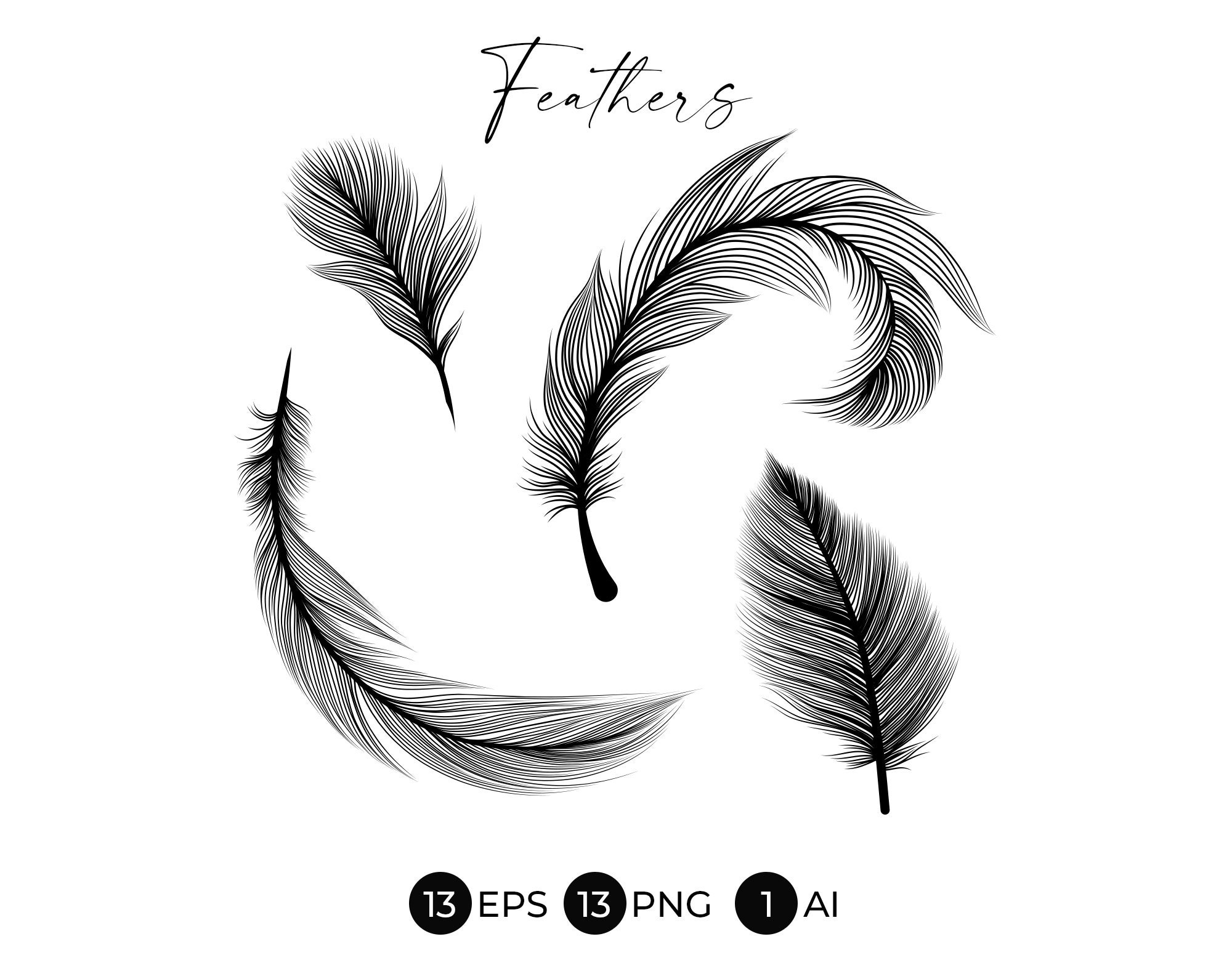 Vector Group Of Black Feather On White Royalty Free SVG, Cliparts, Vectors,  and Stock Illustration. Image 126018750.