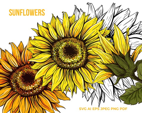 Download Vintage Sunflower Svg Printable Sticker Sunflower Png Etsy