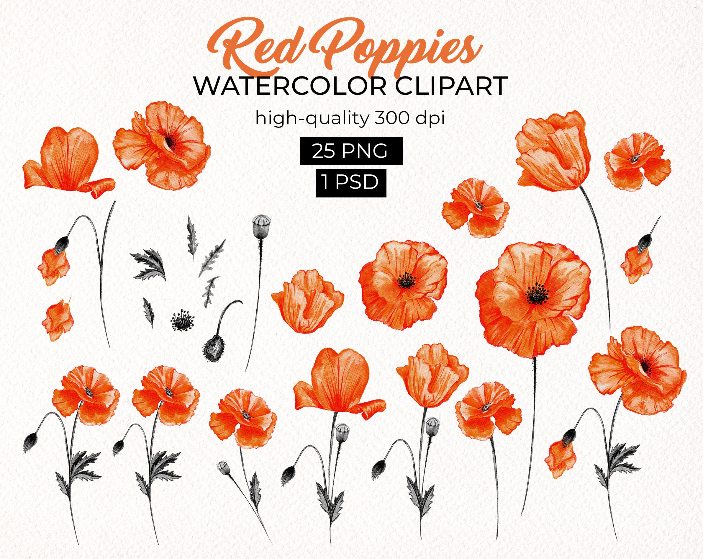 FREEBIE Watercolor wildflower floral bouquet red poppies greenery Meadow flowers clipart PNG Hand painted botanical elements  invitations