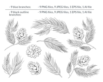 Pine Cone & Fir Branch Clipart: Twig PNG, Line Art Vector EPS Files Bundle (Hand Drawn Botanicals Digital Download)