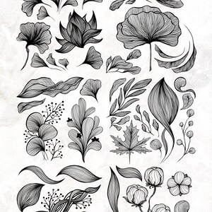 Pode incluir: Um conjunto de 20 ilustra&ccedil;&otilde;es florais em preto e branco de arte linear. As ilustra&ccedil;&otilde;es incluem folhas, flores e ramos. As ilustra&ccedil;&otilde;es s&atilde;o perfeitas para usar em projetos digitais ou impressos.