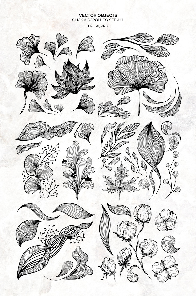 Pode incluir: Um conjunto de 20 ilustra&ccedil;&otilde;es florais em preto e branco de arte linear. As ilustra&ccedil;&otilde;es incluem folhas, flores e ramos. As ilustra&ccedil;&otilde;es s&atilde;o perfeitas para usar em projetos digitais ou impressos.