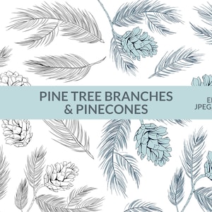 Digital Download - Fir Trees. Pine Cone Botanical Clipart. Line Vector Art Bundle of Spruce Branches. Small Commercial License