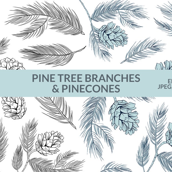 Digital Download - Fir Trees. Pine Cone Botanical Clipart. Line Vector Art Bundle of Spruce Branches. Small Commercial License