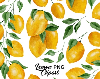Watercolor Lemons Clipart Set Summer Citrus Fruit Green Leaves Tropical Wedding Art PNG Digital Download