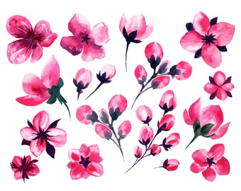 Sakura Watercolor Clipart Pink Floral Clipart PNG Hand Painted Watercolor PSD layered Flower Arrangements Sublimation PNG Commercial use