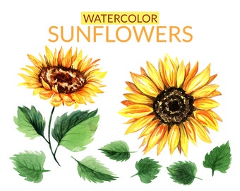 Watercolor Sunflower Clipart Set | Hand-Drawn Flowers & Leaves PNG, PSD - Digital Download Art