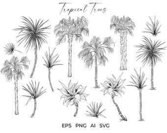 Tropical Palm Tree SVG Bundle: Botanical Line Art Clipart Drawing PNG, EPS Black & White Summer Sketch Illustrations Digital Download Files