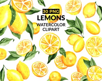 Lemon Watercolor Clipart, Lemon Clipart Sublimation PNG. Citrus Clipart Botanical Illustration, Design Elements. INSTANT Download