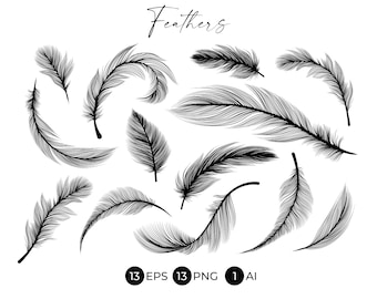 Black and white feathers stencil, vector modern png clipart, boho line art design elements. Feather sublimation Digital Download.