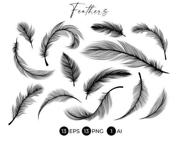 Black and White Feathers Stencil, Vector Modern Png Clipart, Boho Line Art  Design Elements. Feather Sublimation Digital Download. 