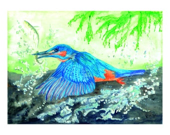 Limted edition Kingfisher print.