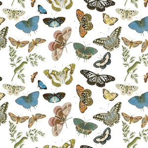 Butterfly Gift Wrapping Paper, 1 Sheet, Sample, Made in USA, Recycled, Spring, Single Sheet, Birthday, Easter, Summer, Mothers Day, Floral