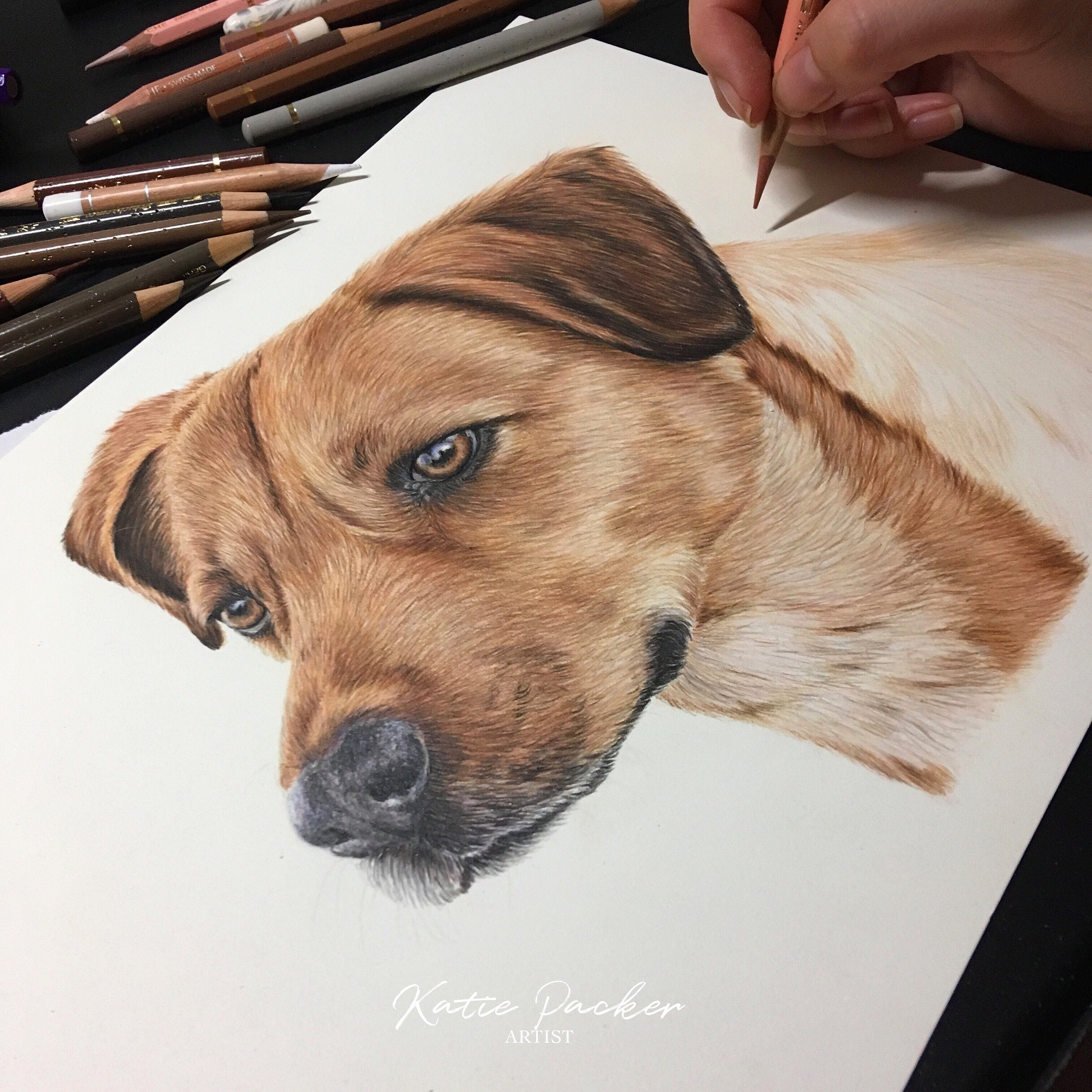 How to Draw Realistic Dog Drawing Tutorial | Etsy