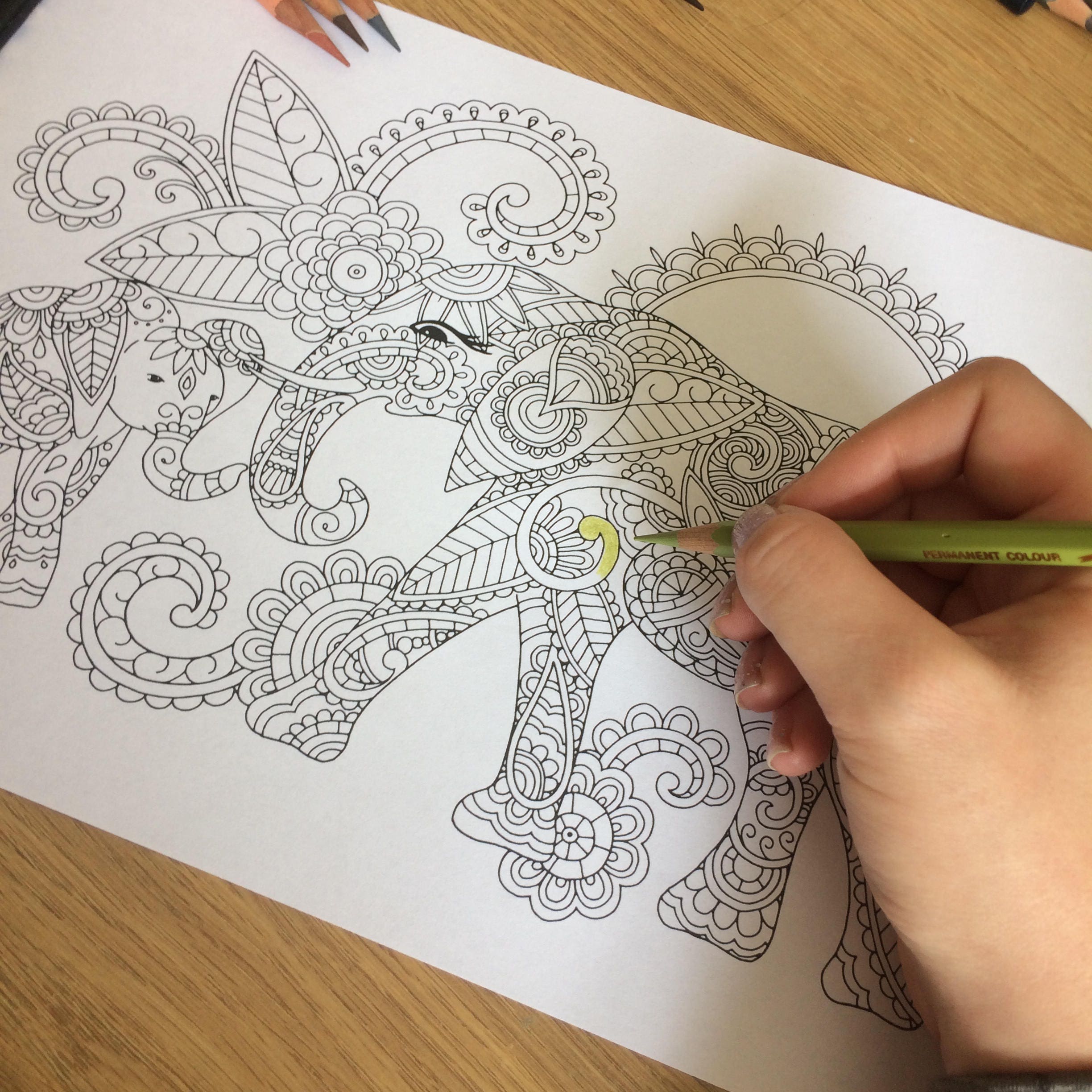 Adult Colouring Page Elephant Mummy and Baby Coloring | Etsy