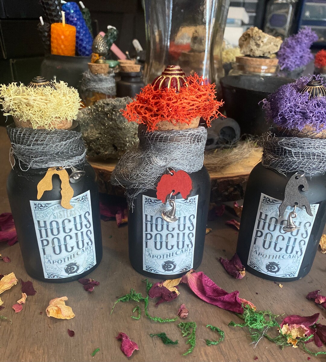 Hocus Pocus Potion Mini Bottle Set Sanderson Sisters Winifred Etsy