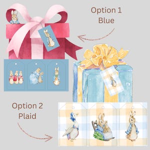 Peter Rabbit Gift Tags-Handmade Set of 18 - 2 Options (Printed)