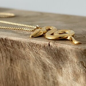 Close-up side view of Jorie Breonn Žaltys Snake Necklace against a wood background.