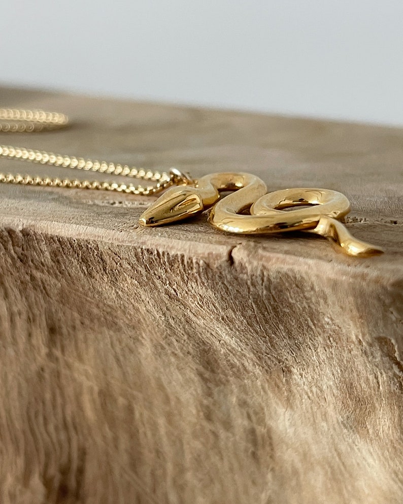 Close-up side view of Jorie Breonn Žaltys Snake Necklace against a wood background.