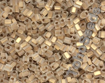 10g Toho Triangle Seed Beads size 11/0 Matte Crystal Gold Lined TG-11-989F, 2m Rocailles size 11/0 Golden Frosted