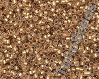 10g Toho Seed Beads 15/0 Gold Lined Frosted Matte Crystal TR-15-989F Rocailles size 15 mini rocailles 1mm golden gold